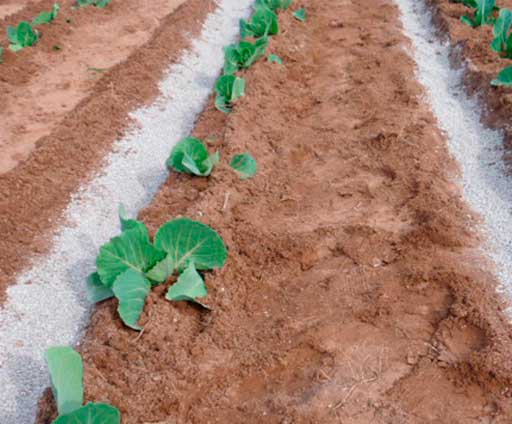 Yeso en la agricultura