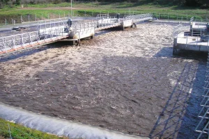 Floculantes para clarificación