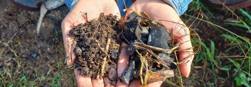 Enmiendas de suelo para agroexportación